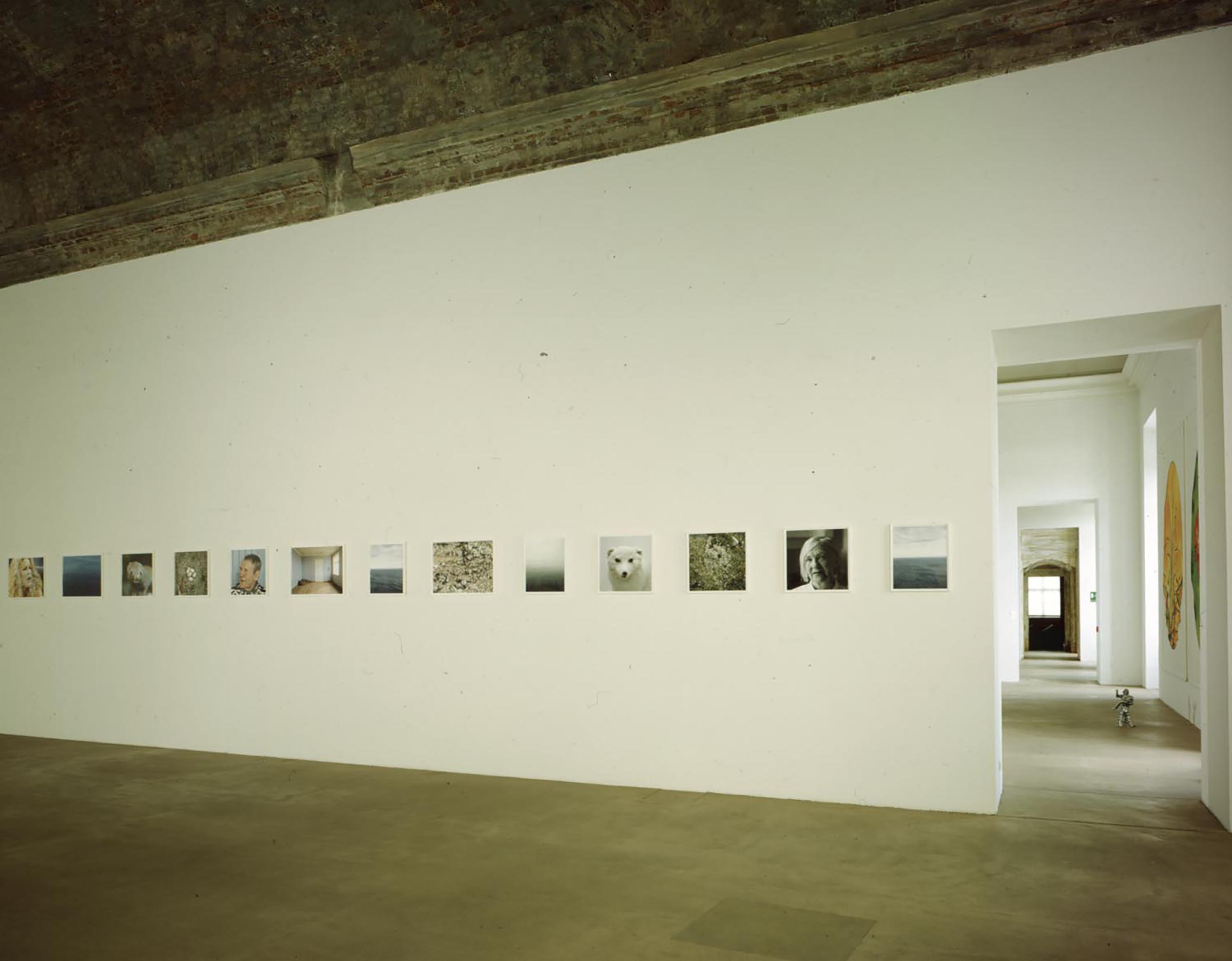 Roni Horn, Pi, 1998 (detail)